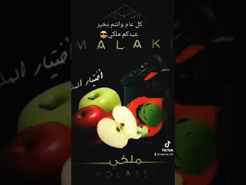 معسل ملكي بالجوده معا جميع انكهات