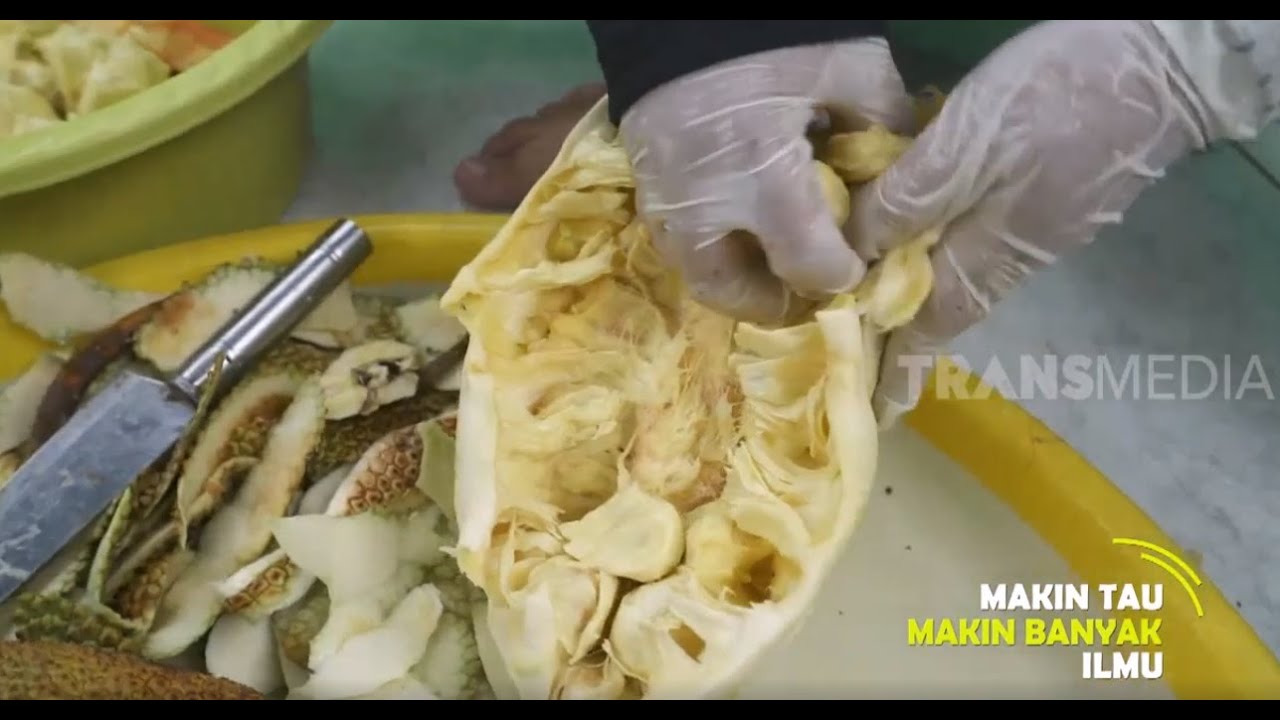 MANDAI CRISPY, Olahan Dari Kulit Cempedak Khas Balikpapan | TAU GAK SIH