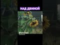 Над Двиной. Архангельский мужик. Начало русской свободы #АнатолийСтреляный #Уголос #Shorts