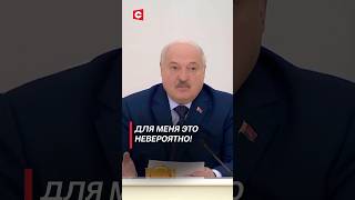 Лукашенко: 49 раз! Что там можно было делать? | Хозяйство «Оснежицкое» #shorts #лукашенко #хозяйство