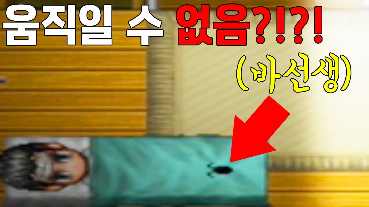 바퀴벌래가 바로 밑에 있는데 "움직일 수가 없다"?!?![공포게임 arrow key error 1화] - YouTube