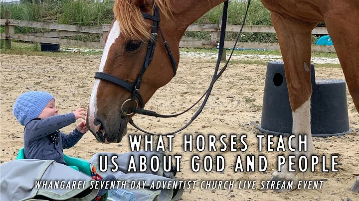 What Horses Teach Us About God and People - Whangarei Seventh-day Adventist Church Live Stream Event