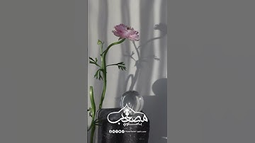 يارب #تلاوات_قصيرة #تلاوة_هادئة #قران_كريم_بصوت_جميل_جدا #تلاوة_مميزة #سورة_الأنبياء #تلاوات_جميلة