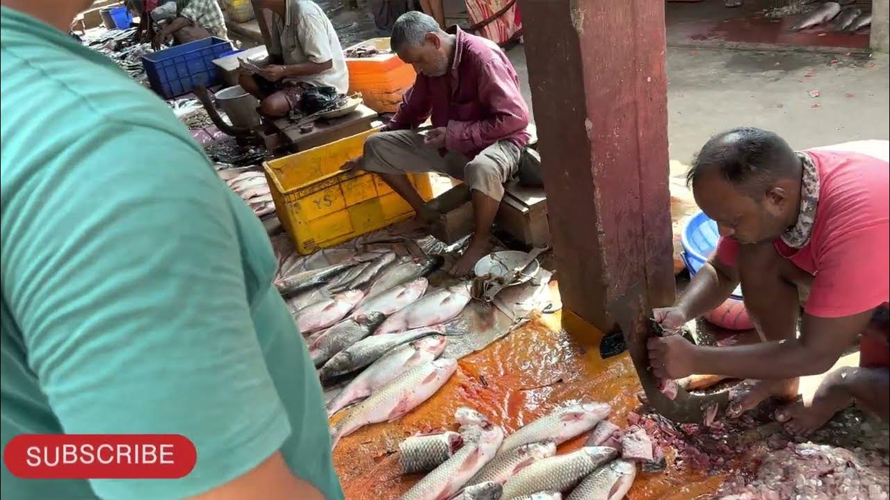 Jaleswar Thana Chhack Fish Market YouTube