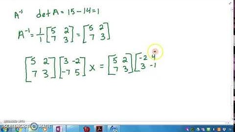 Solving Matrix Equations with Inverse