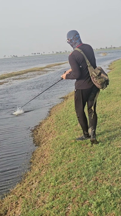 fishing in bad weather. #indianfishingafsar #fishing #fish #fishingvideo #snakeheadfish