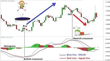 MACD Crossover Forex Trading Strategy|macd histogram simple forex trading strategies