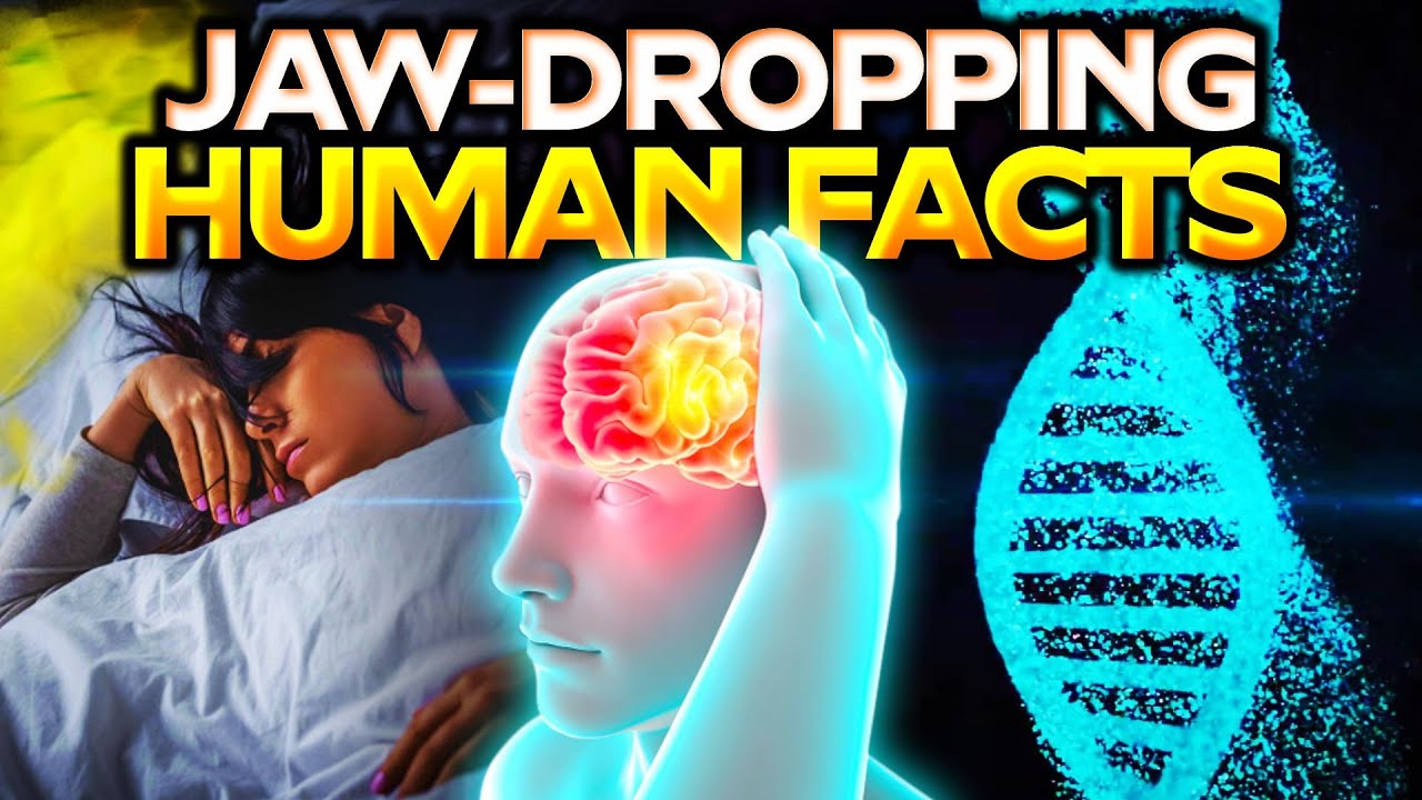 JawDropping Human Facts You Didn't Know YouTube