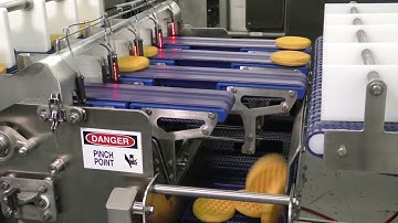 Automated Waffle Reject System Video Forpak