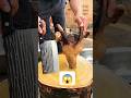 #meat #expertbutcher #fullgoatcutting #people #trampoline #shortvideo #shorts