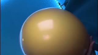 Balloon episode 🎈109484