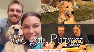 We Got A PUPPY &amp; Baking Christmas Cookies