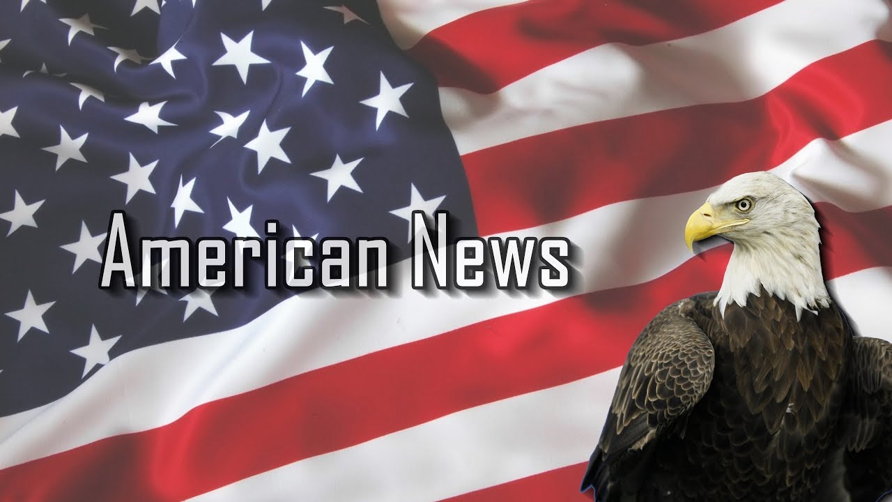 American News Channel YouTube American News Channel YouTube