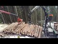 Holztransport Penz Crane