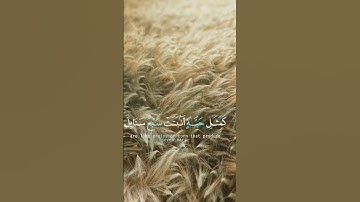 اية قرأنية جميلة فيها حكمة كبيرة /مع تلاوة خاشعة/ #قران_كريم #قرآن #motivation #اسلام # #دعاء