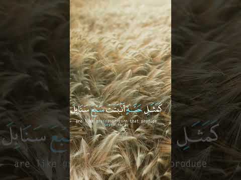 اية قرأنية جميلة فيها حكمة كبيرة مع تلاوة خاشعة قران كريم قرآن  اسلام دعاء