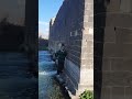 لاكتب اسمك يا بلادي نهر العاصي القصير لاكتب اسمك يا بلادي نهر العاصي القصير
