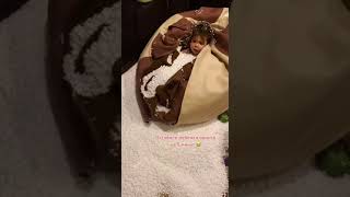 IMG 0305