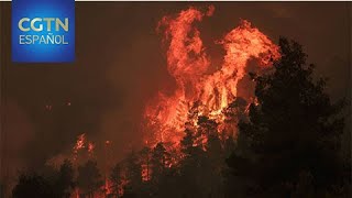 Miles de habitantes huyen de sus hogares en la isla de Evia