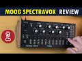 Moog spectravox is in production  review tutorial and 10 patch ideas