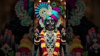 आज ये जीवन मेरा बाबा 🌿🌺💫!!.. RADHE KRISHNA..!!💫🌺🌿#shortfeed #bhajan #viralbhajan #status