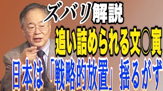 高橋教授のズバリ解説！　どこまでも追い詰められる文在○　日本の「戦略的放置」揺るがず【怒っていいとも】