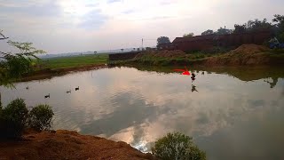 Chicken Over The Water Flying