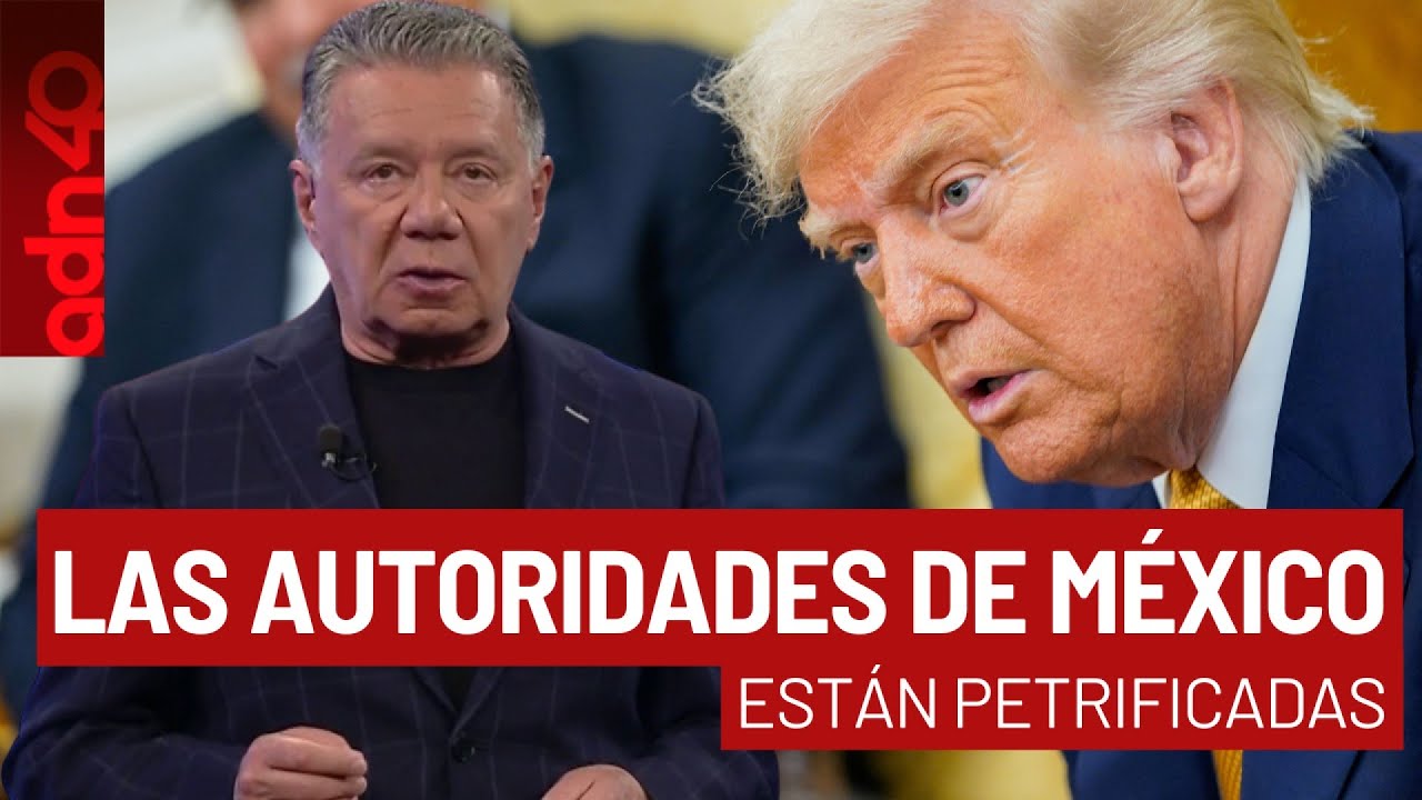 Las autoridades de México están petrificadas por el crimen organizado I Todo Personal