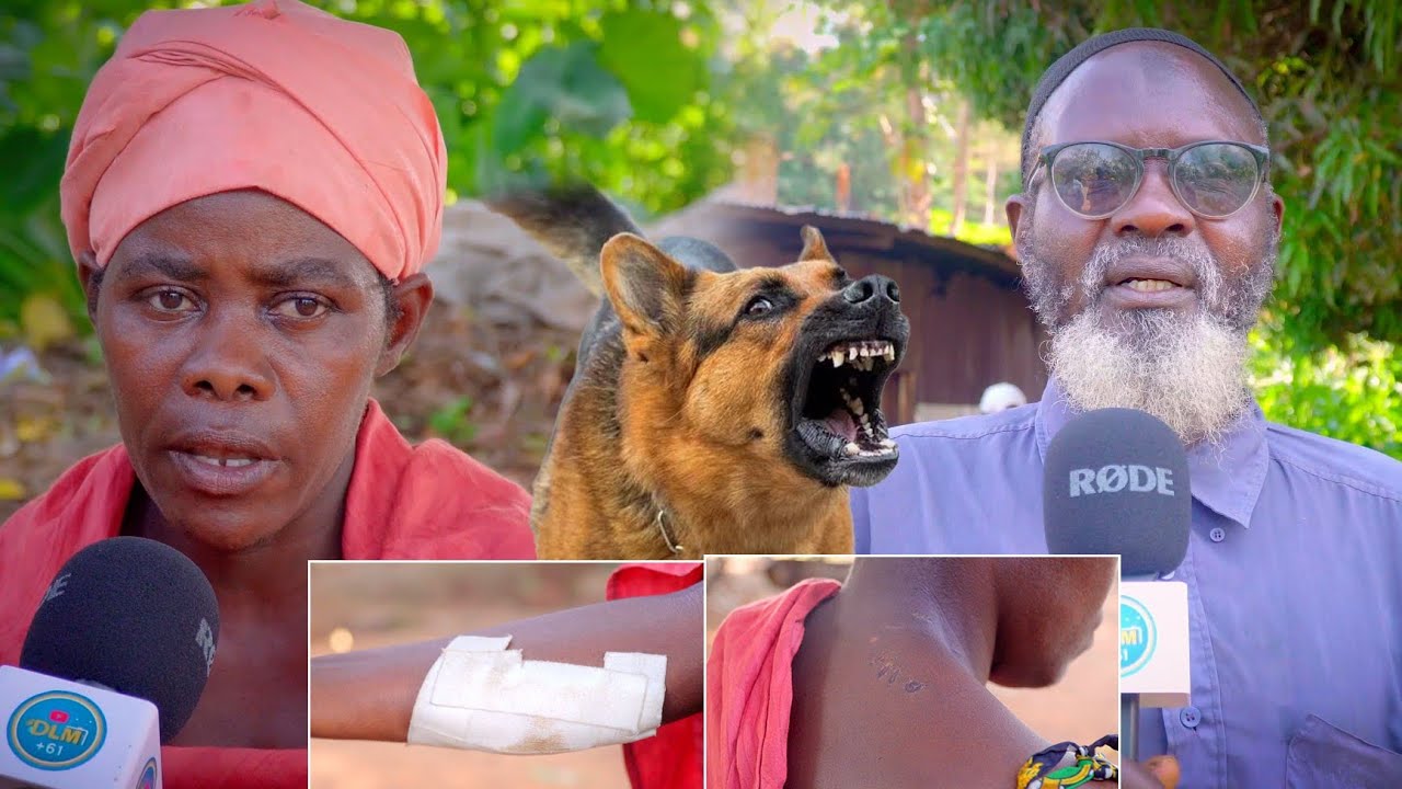 Imbwa zarandiye ndabura amahera yo kwivuza. Dusaba ko zicwa