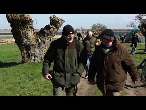 Wettlauf gegen die Zeit: Neue Hoffnung für den Buckelwal