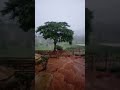 Chuva boa na região da Serra Bela Vista - Vitória da Conquista BAHIA
