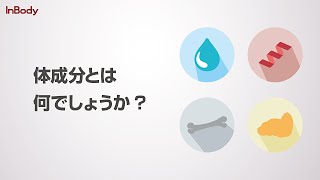 InBody測定（大成分分析装置）のご案内 | やまぐち整形外科クリニック