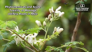 Phytochemicals And Acute Toxicity Of Moringa Oleifera Roots In Mice