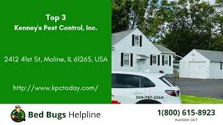 Top 3 Bed Bug Removal in East Moline