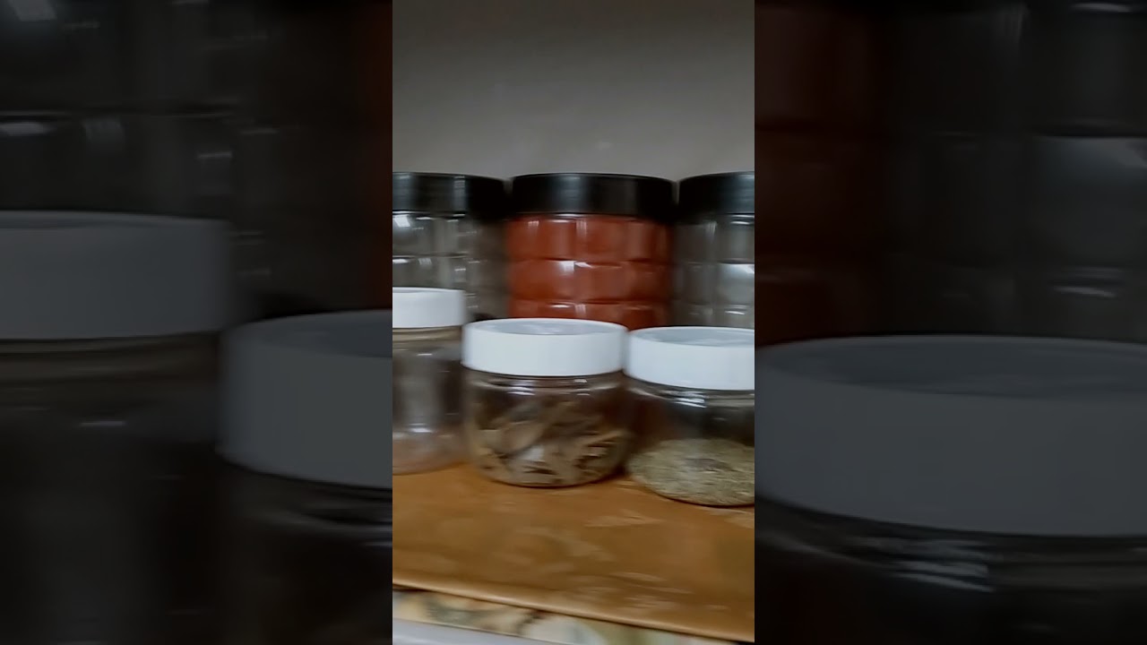 kitchen deep cleaning/ cocokroach free tips in kitchen shelfs/ neem