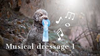 MD1- dogdancing | lagotto romagnolo by Kudr Holky 1,886 views 2 years ago 1 minute, 29 seconds