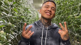 How MRTHC QUIT his job and became a full time Youtuber