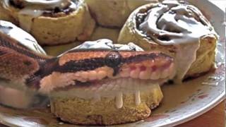 Petunias Green Screen