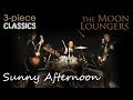 Sunny Afternoon by The Kinks | Performed by Bristol Wedding Band the Moon Loungers