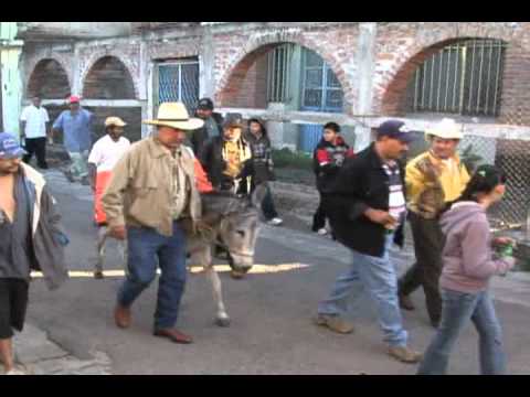 Capy Ranch 2010 el burro parte 2 - YouTube