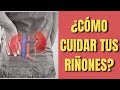 ¿Cómo cuidar tus riñones? - Preguntas y respuestas frecuentes