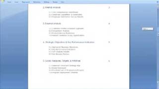 Business Strategy Plan