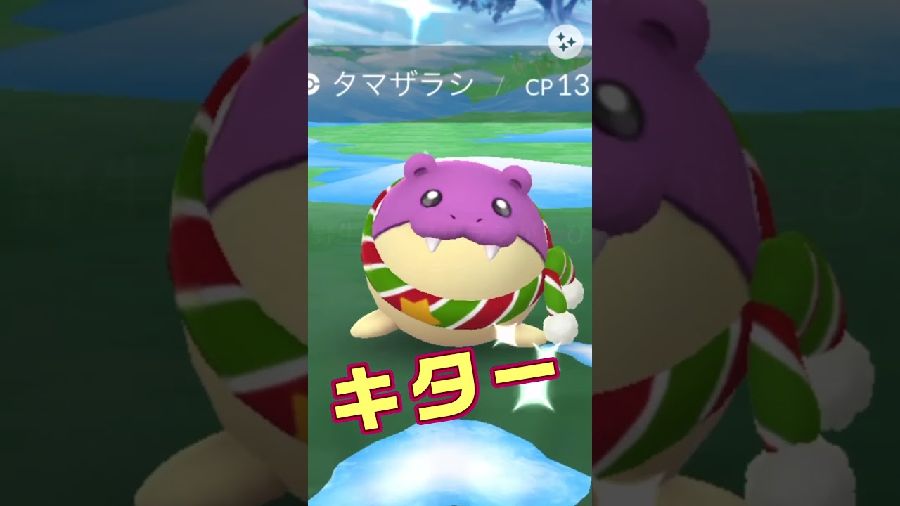色厳選】俺ならタマちゃん色オヤブンと会えるはず【ポケモン