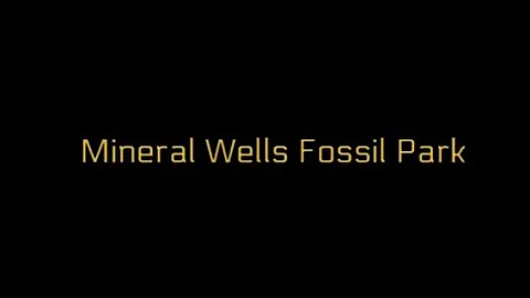 Mineral Wells Fossil Park