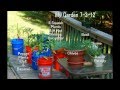 My Bucket Garden July 2012