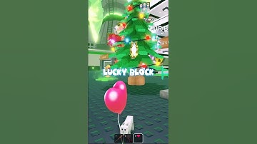 I Found the SECRET LUCKY BLOCK in the CHRISTMAS TREE!
