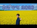 【ネピサマ 2023】 Shimon's Piano Live!!
