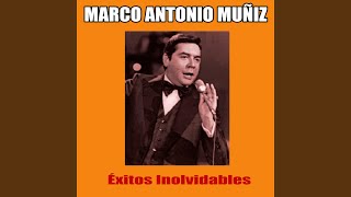 Estoy Perdido