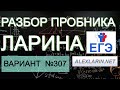 Ларин 307 вариант. Полный разбор. Alexlarin.