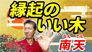 庭にナンテン（南天）を植えると〇〇を避けられる【縁起のいい木】